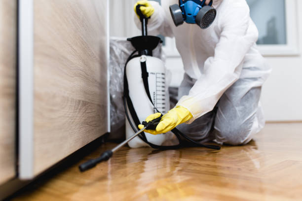  St Louis, MO Pest Control Pros
