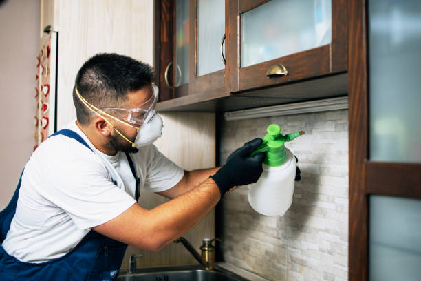 Best Bed Bug Extermination  in St Louis, MO